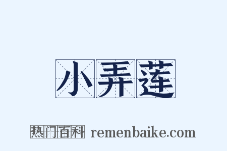 小弄莲是什么意思的图片